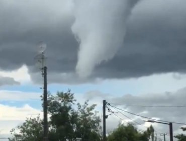 Confirman que fenómeno que provocó daños en Retiro es compatible con un "tornado categoría EF0"