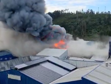 Gran incendio afecta a afecta planta salmonera en Puerto Montt