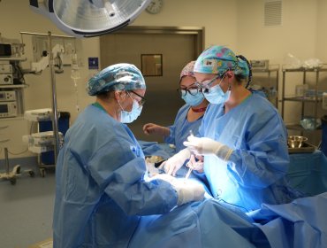 25 niños de Quillota y Petorca salen de la lista de espera tras operativo quirúrgico en el Hospital Biprovincial