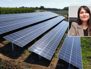 Core Rubilar expresa preocupación por extenso proyecto fotovoltaico en Colliguay: advierte riesgo de incendios en la zona
