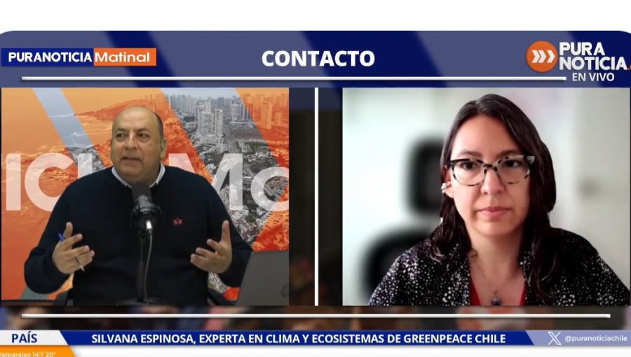 Greenpeace Chile y riesgo de remociones en masa en terrenos quemados: "Estamos trabajando para contar una normativa de prevención"
