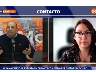 Greenpeace Chile y riesgo de remociones en masa en terrenos quemados: "Estamos trabajando para contar una normativa de prevención"