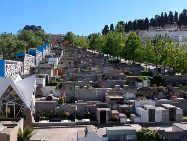 Día de Todos los Santos en Viña del Mar: revisa los horarios y medidas para acceder este domingo al Cementerio Santa Inés