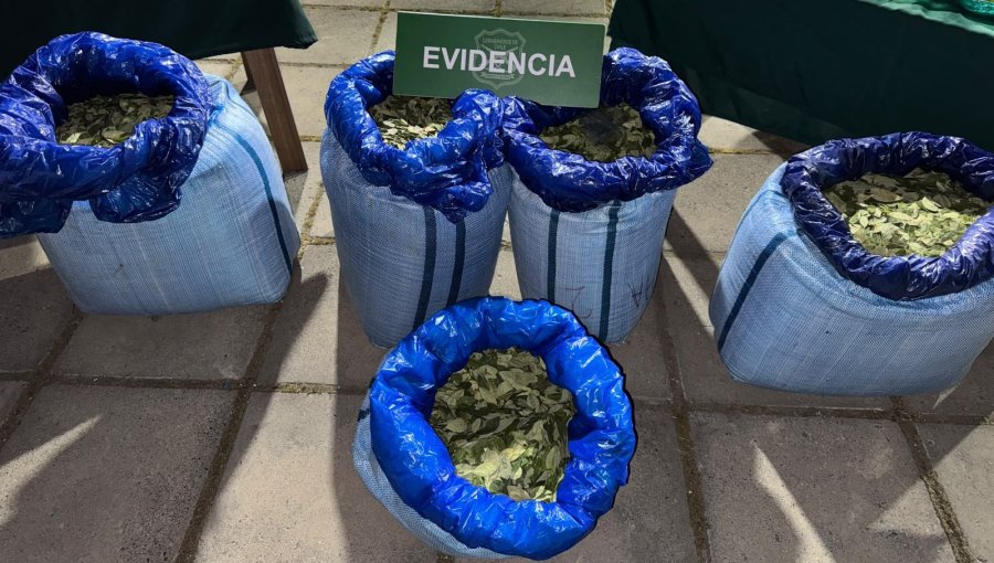 Seis bolivianos fueron detenidos en operativo que permitió incautar 100 kilos de hojas de coca en Pudahuel, Quilicura y Melipilla