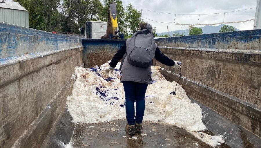 Seremi de Salud de Valparaíso decomisa y destruye 7,45 toneladas de queso elaborado en fábrica clandestina de Santa María