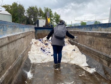 Seremi de Salud de Valparaíso decomisa y destruye 7,45 toneladas de queso elaborado en fábrica clandestina de Santa María